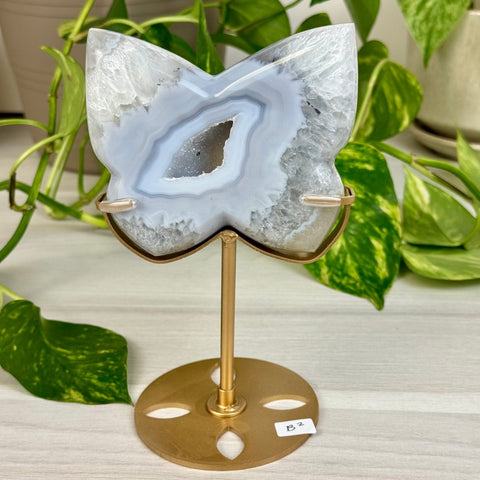 Druzy Agate Butterfly with Custom Stand B2 28 - Kenna's Crystals from TikTok