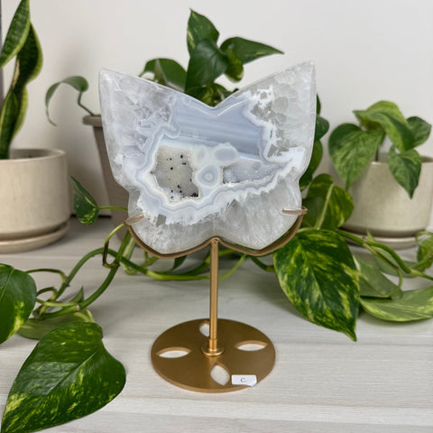 Druzy Agate Butterfly with Custom Stand C 3 - Kenna's Crystals from TikTok