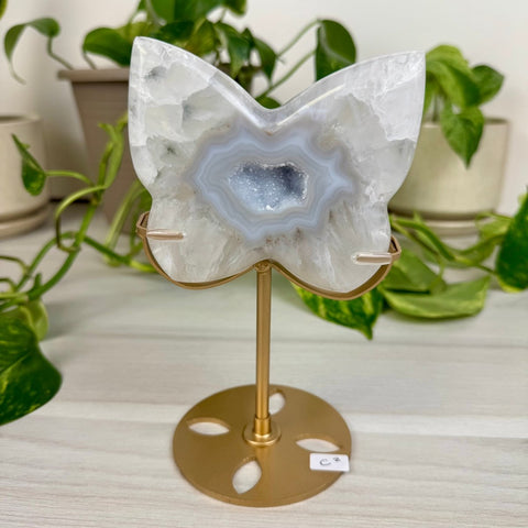 Druzy Agate Butterfly with Custom Stand C2 29 - Kenna's Crystals from TikTok