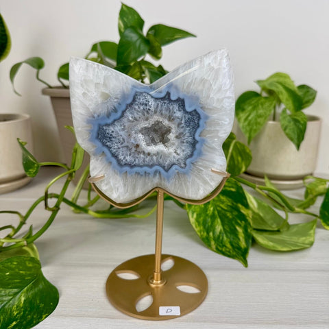 Druzy Agate Butterfly with Custom Stand D 4 - Kenna's Crystals from TikTok