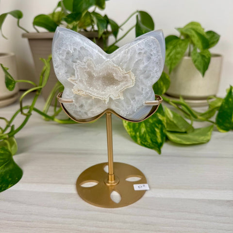 Druzy Agate Butterfly with Custom Stand D2 30 - Kenna's Crystals from TikTok