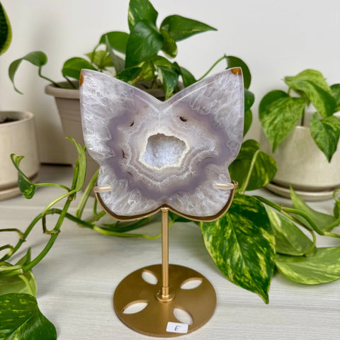 Druzy Agate Butterfly with Custom Stand E 5 - Kenna's Crystals from TikTok