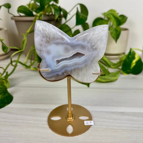 Druzy Agate Butterfly with Custom Stand E2 31 - Kenna's Crystals from TikTok