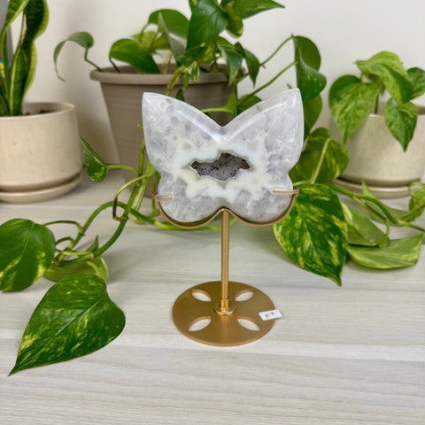 Druzy Agate Butterfly with Custom Stand F2 32 - Kenna's Crystals from TikTok