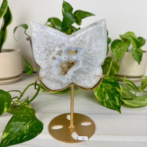 Druzy Agate Butterfly with Custom Stand G 7 - Kenna's Crystals from TikTok