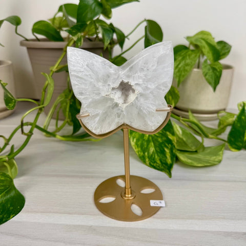 Druzy Agate Butterfly with Custom Stand G2 33 - Kenna's Crystals from TikTok