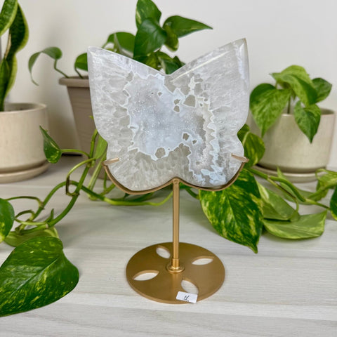 Druzy Agate Butterfly with Custom Stand H 8 - Kenna's Crystals from TikTok