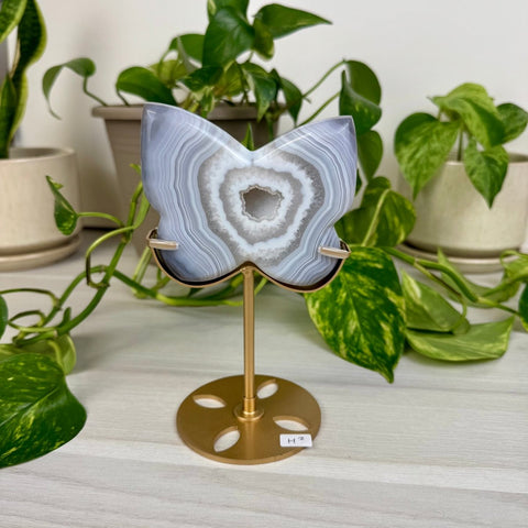 Druzy Agate Butterfly with Custom Stand H2 34 - Kenna's Crystals from TikTok