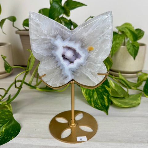Druzy Agate Butterfly with Custom Stand I 9 - Kenna's Crystals from TikTok