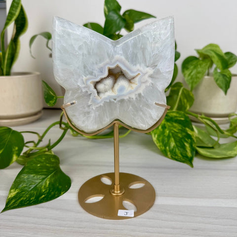 Druzy Agate Butterfly with Custom Stand J 10 - Kenna's Crystals from TikTok