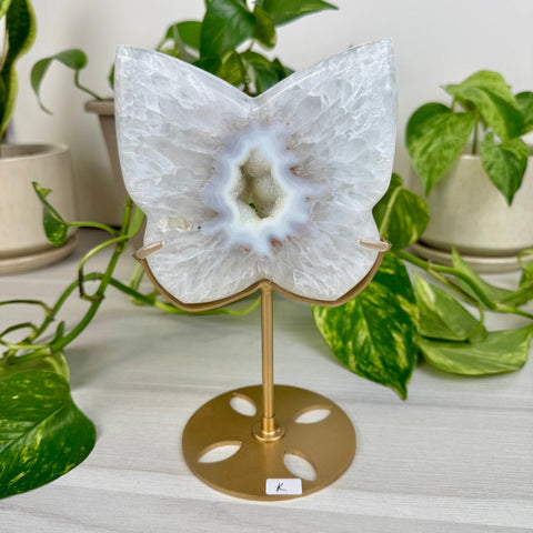 Druzy Agate Butterfly with Custom Stand K 11 - Kenna's Crystals from TikTok