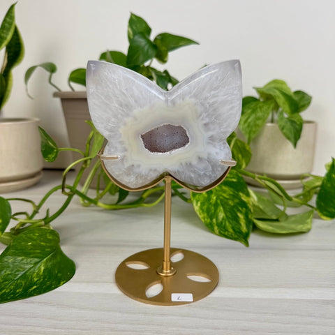 Druzy Agate Butterfly with Custom Stand L 12 - Kenna's Crystals from TikTok