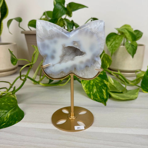Druzy Agate Butterfly with Custom Stand M 13 - Kenna's Crystals from TikTok