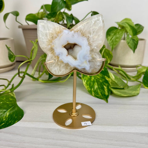 Druzy Agate Butterfly with Custom Stand N 14 - Kenna's Crystals from TikTok