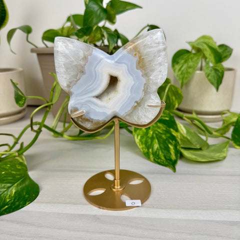 Druzy Agate Butterfly with Custom Stand O 15 - Kenna's Crystals from TikTok