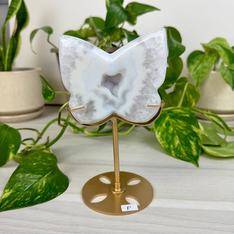 Druzy Agate Butterfly with Custom Stand P 16 - Kenna's Crystals from TikTok
