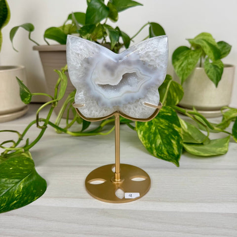 Druzy Agate Butterfly with Custom Stand Q 17 - Kenna's Crystals from TikTok
