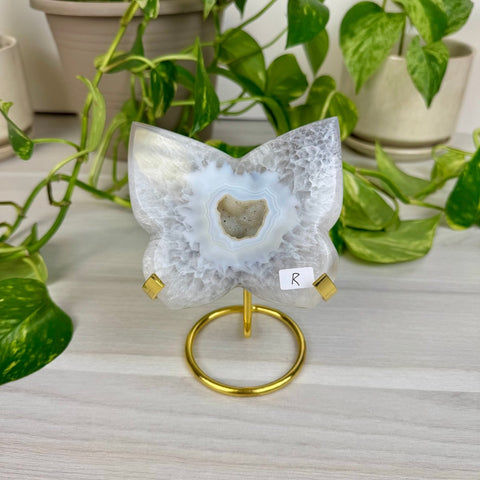 Druzy Agate Butterfly with Custom Stand R 18 - Kenna's Crystals from TikTok