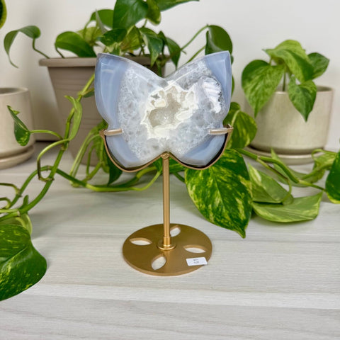 Druzy Agate Butterfly with Custom Stand S 19 - Kenna's Crystals from TikTok