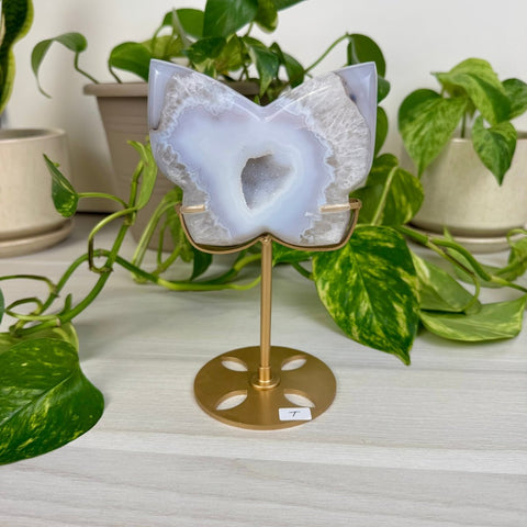 Druzy Agate Butterfly with Custom Stand T 20 - Kenna's Crystals from TikTok