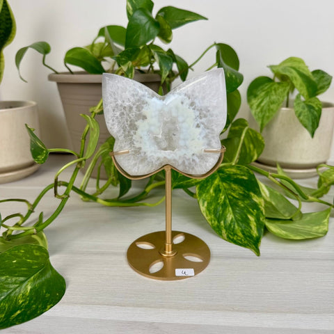 Druzy Agate Butterfly with Custom Stand U 21 - Kenna's Crystals from TikTok