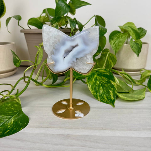 Druzy Agate Butterfly with Custom Stand V 22 - Kenna's Crystals from TikTok