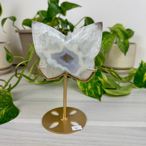 Druzy Agate Butterfly with Custom Stand W 23 - Kenna's Crystals from TikTok