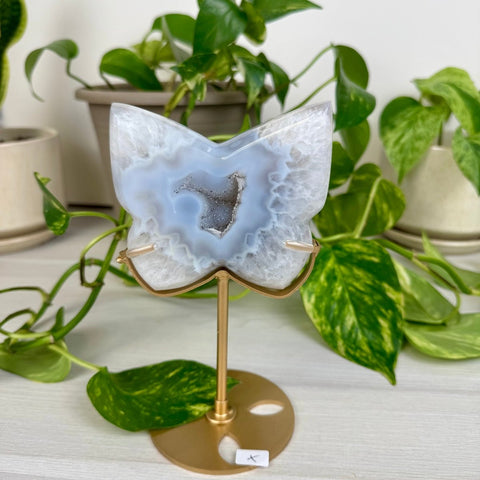 Druzy Agate Butterfly with Custom Stand X 24 - Kenna's Crystals from TikTok