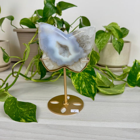 Druzy Agate Butterfly with Custom Stand Y 25 - Kenna's Crystals from TikTok