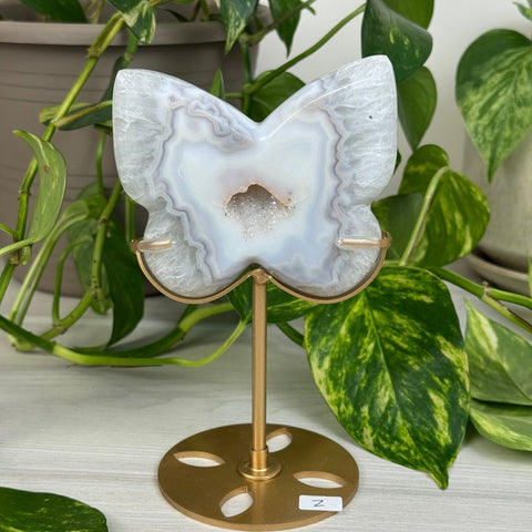 Druzy Agate Butterfly with Custom Stand Z 26 - Kenna's Crystals from TikTok