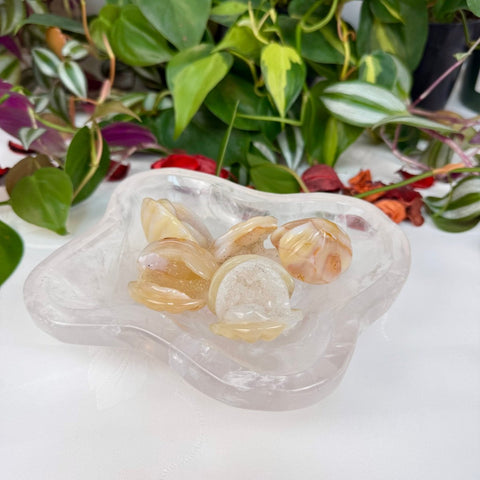 Druzy Agate Clam 22 2 - Kenna's Crystals from TikTok