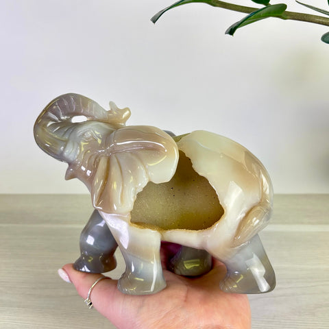 Druzy Agate Elephant