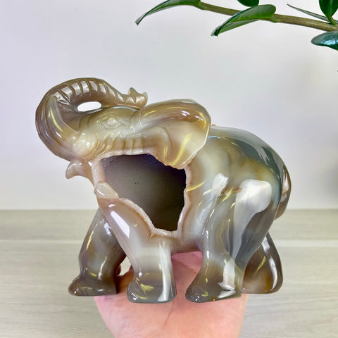 Druzy Agate Elephant