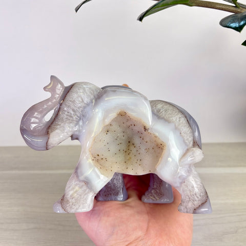 Druzy Agate Elephant