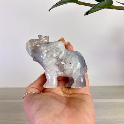 Druzy Agate Elephant