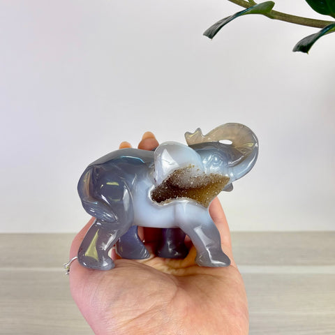 Druzy Agate Elephant