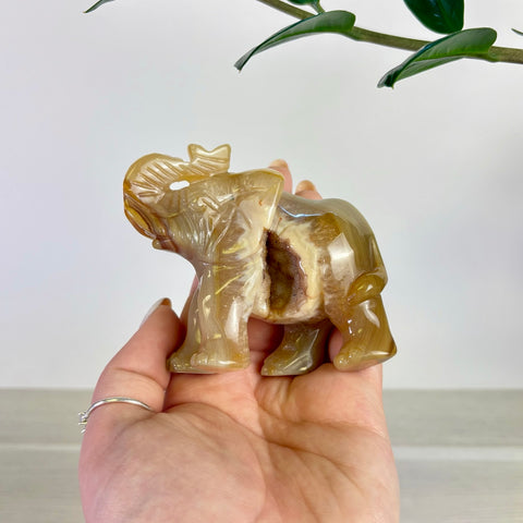 Druzy Agate Elephant