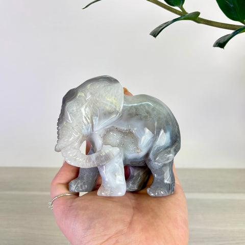 Druzy Agate Elephant