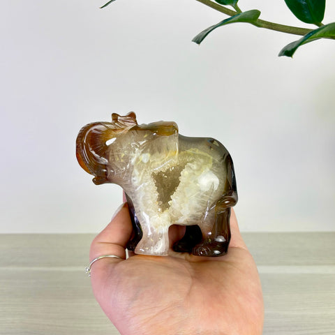 Druzy Agate Elephant