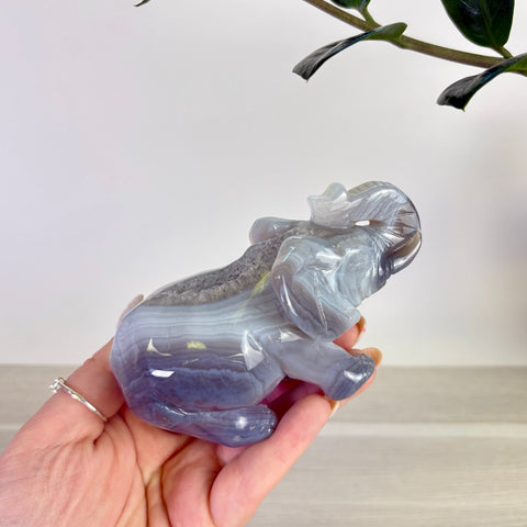 Druzy Agate Elephant