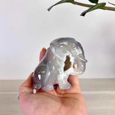 Druzy Agate Elephant