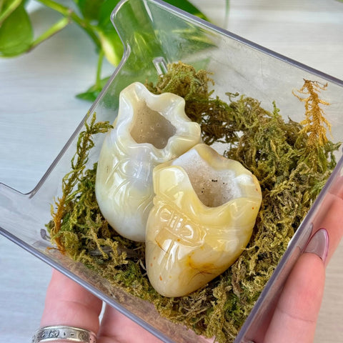 Druzy Agate Money Bag 44 3 - Kenna's Crystals from TikTok