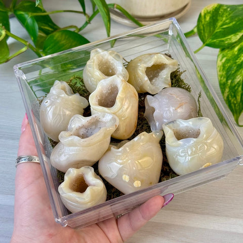 Druzy Agate Money Bag 99 12 - Kenna's Crystals from TikTok