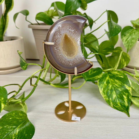 Druzy Agate Moon with Custom Stand J 12 - Kenna's Crystals from TikTok