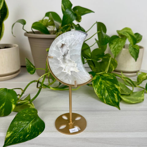 Druzy Agate Moon with Custom Stand W 23 - Kenna's Crystals from TikTok