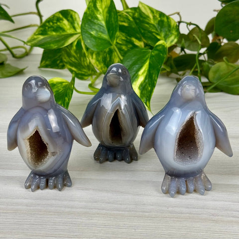 Druzy Agate Penguin 66 7 - Kenna's Crystals from TikTok