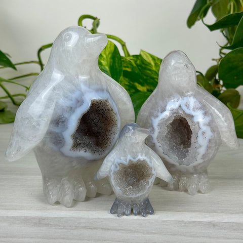 Druzy Agate Penguin A 1 - Kenna's Crystals from TikTok