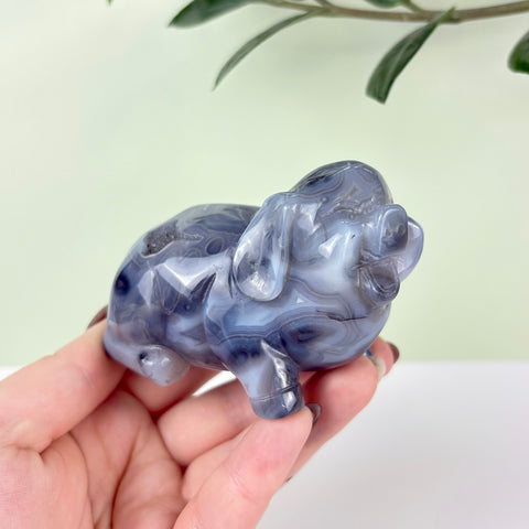 Druzy Agate Playful Piggy - Kenna's Crystals