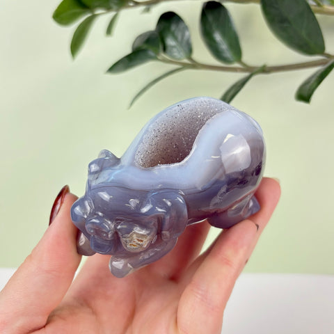 Druzy Agate Playful Piggy - Kenna's Crystals