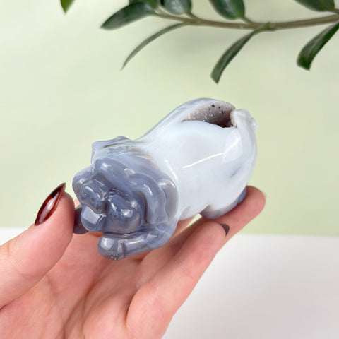 Druzy Agate Playful Piggy - Kenna's Crystals